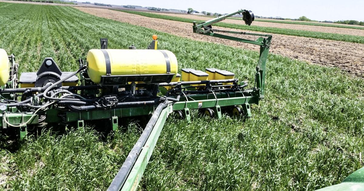 Cost-share programs help overcome barriers for cover crops