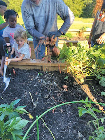 Community garden