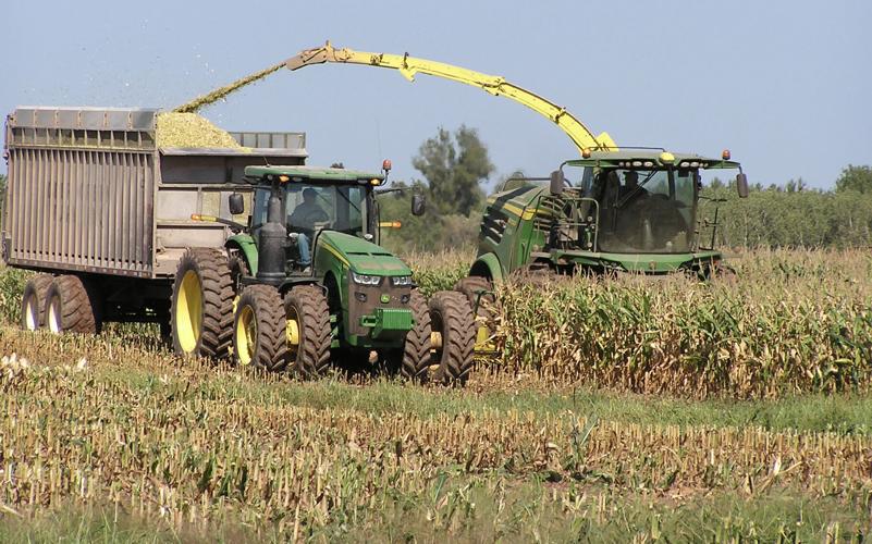 Corn picker