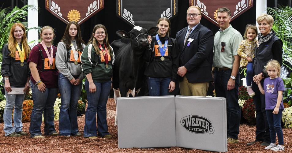 Winners of 2023 World Dairy Expo youth fitting contest intermediate female division