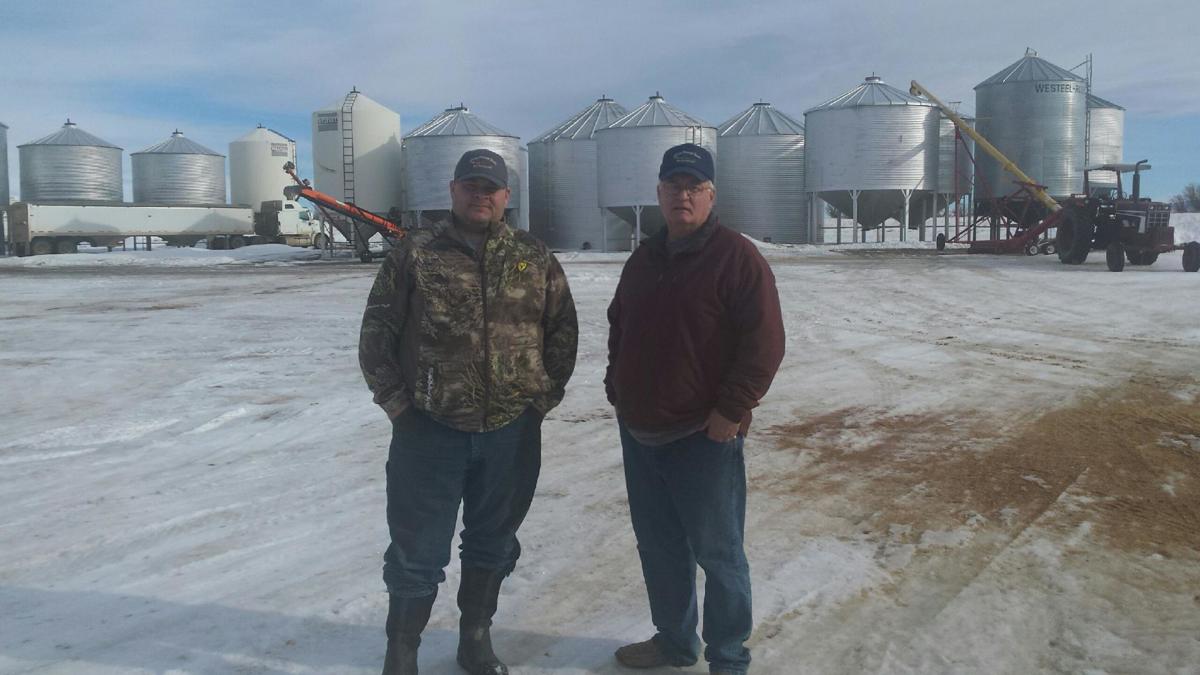 Golden Harvest Seeds