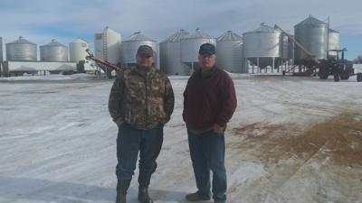 Golden Harvest Seeds