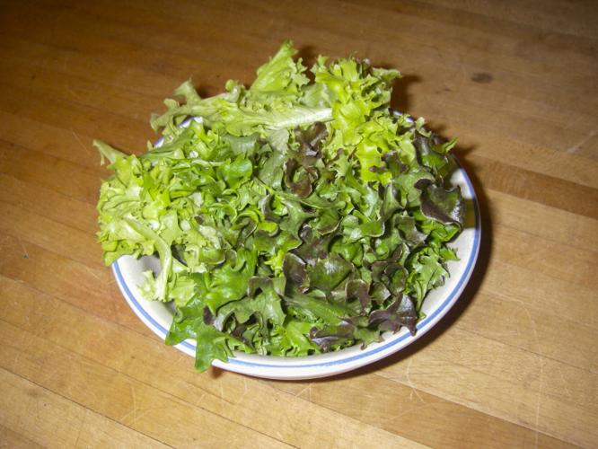 Bowl of salad greens