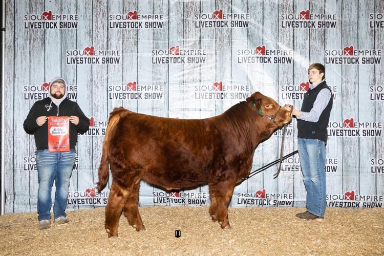 Purebred-Show---AOB-Bull-Reserve.jpg