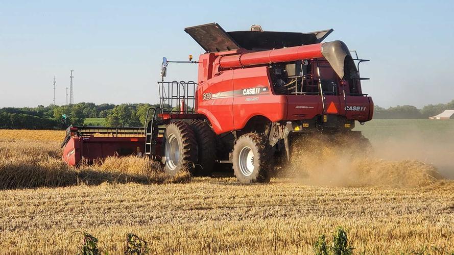 IL wheat harvest