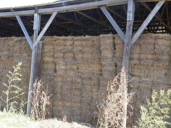 Hay bale storage (3).JPG