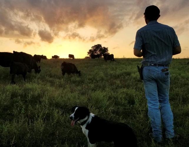 Regenerative ag Tejral (3).jpg