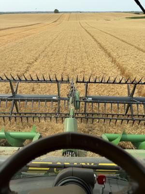 Header tackles wheat