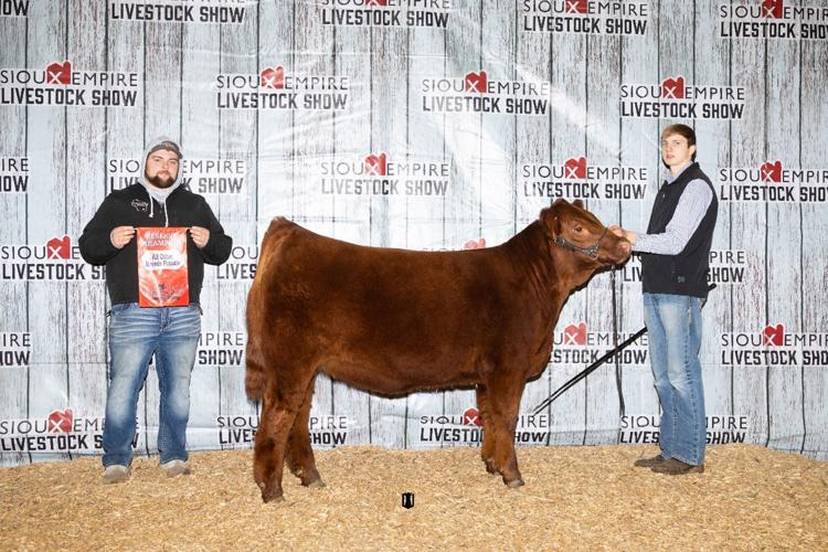 Purebred-Show---AOB-Heifer-Reserve.jpg
