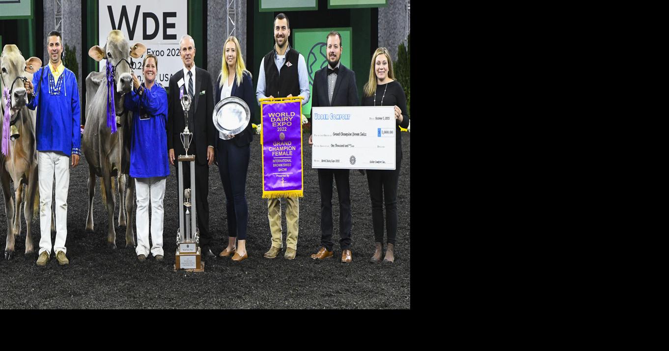 Brown Swiss winners named