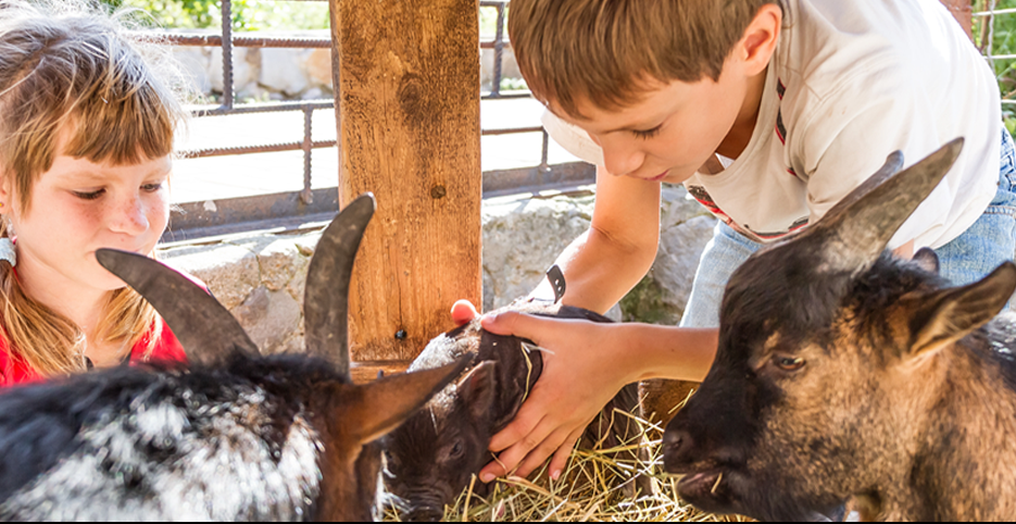 Kids with animals