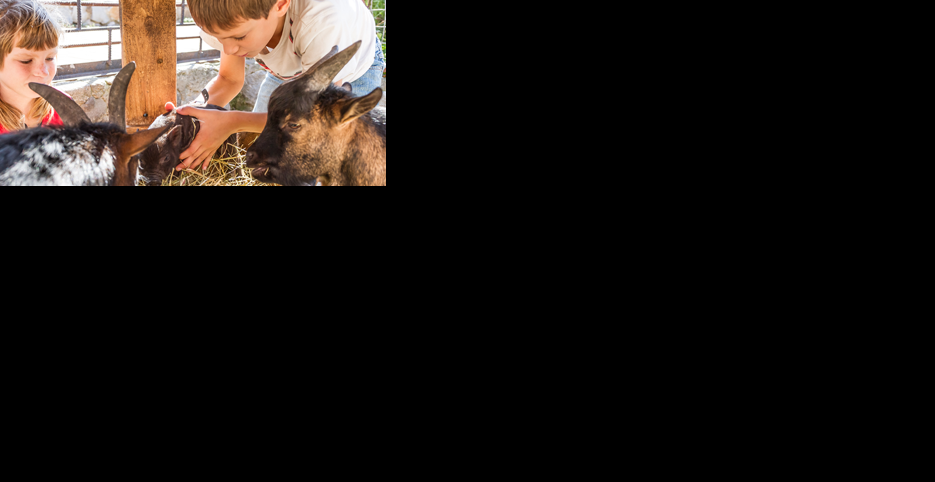 Kids with animals