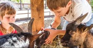 Farm-safety reminders critical