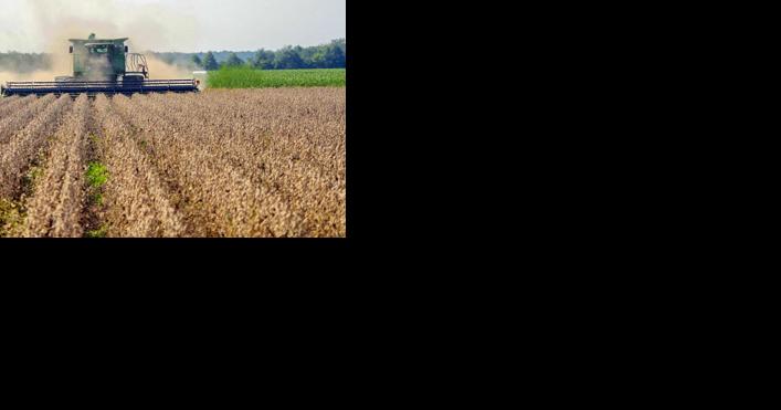 Net farm income drops 21 percent, economist says - Vimarsana News
