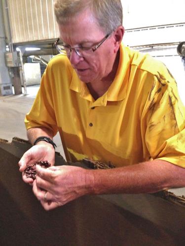 Jeff Lyon examines dark red kidney beans