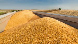 Grain markets may capitalize after tariff rulings