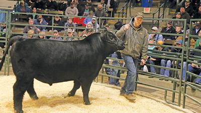 2018 Beef Expo