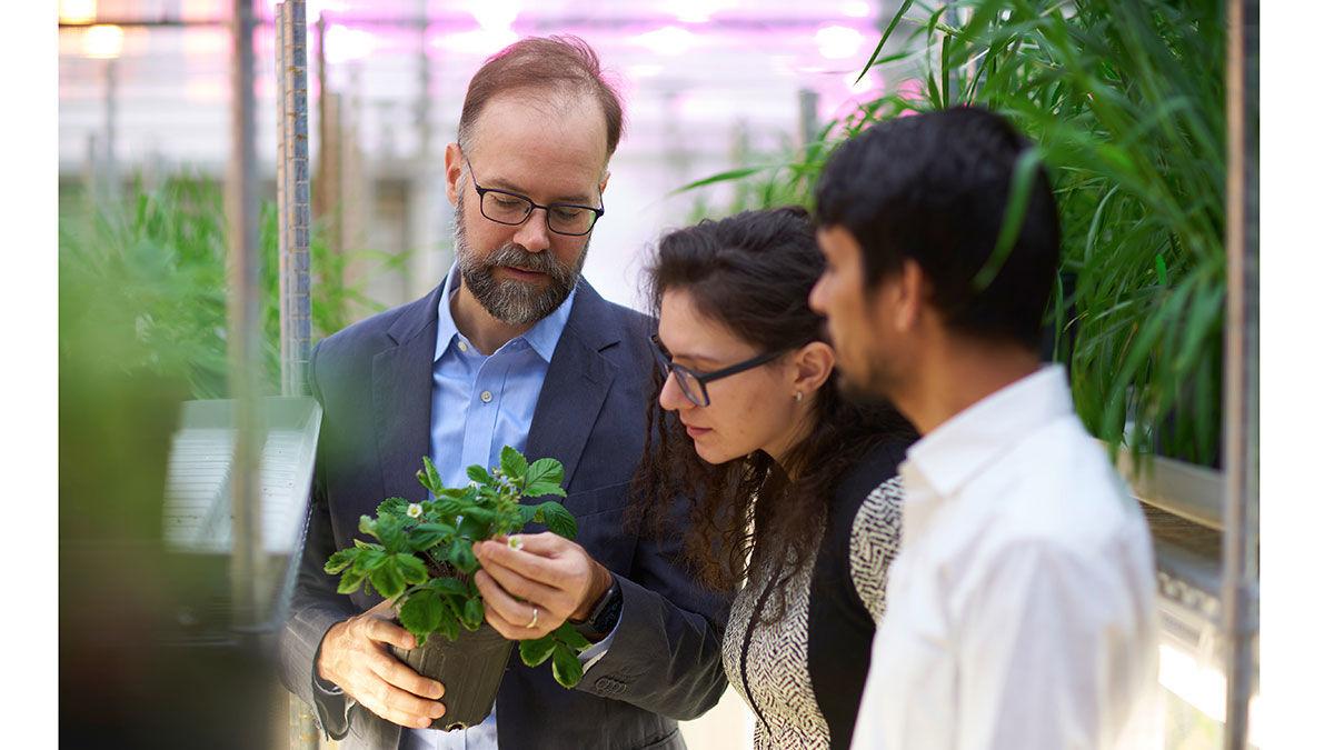Danforth Plant Sciences Center