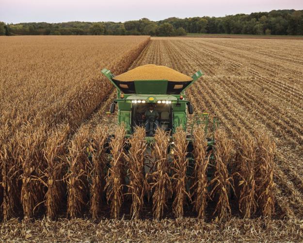 Download Asset_13745.jpg