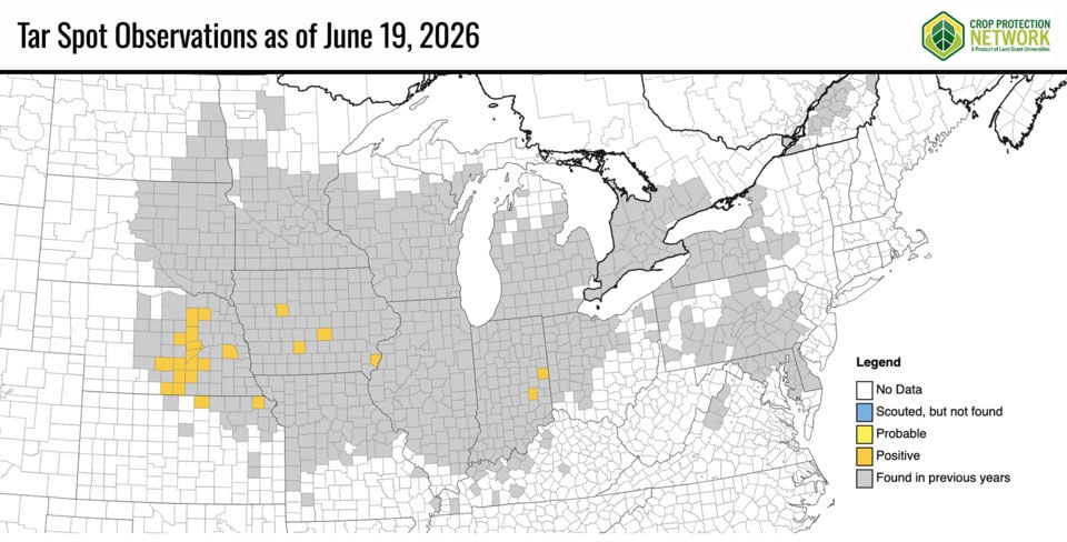 Tar spot map June 2026