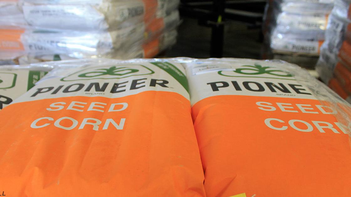 seed suppliers online