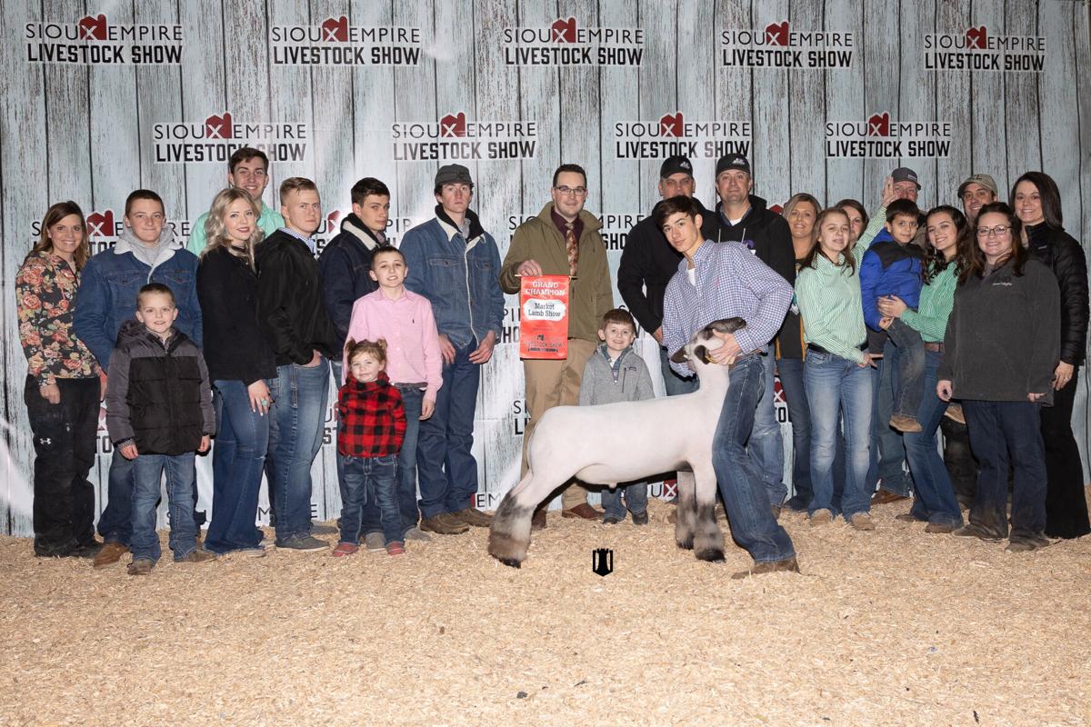 Grand champion lamb