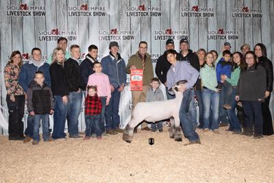 Grand champion lamb
