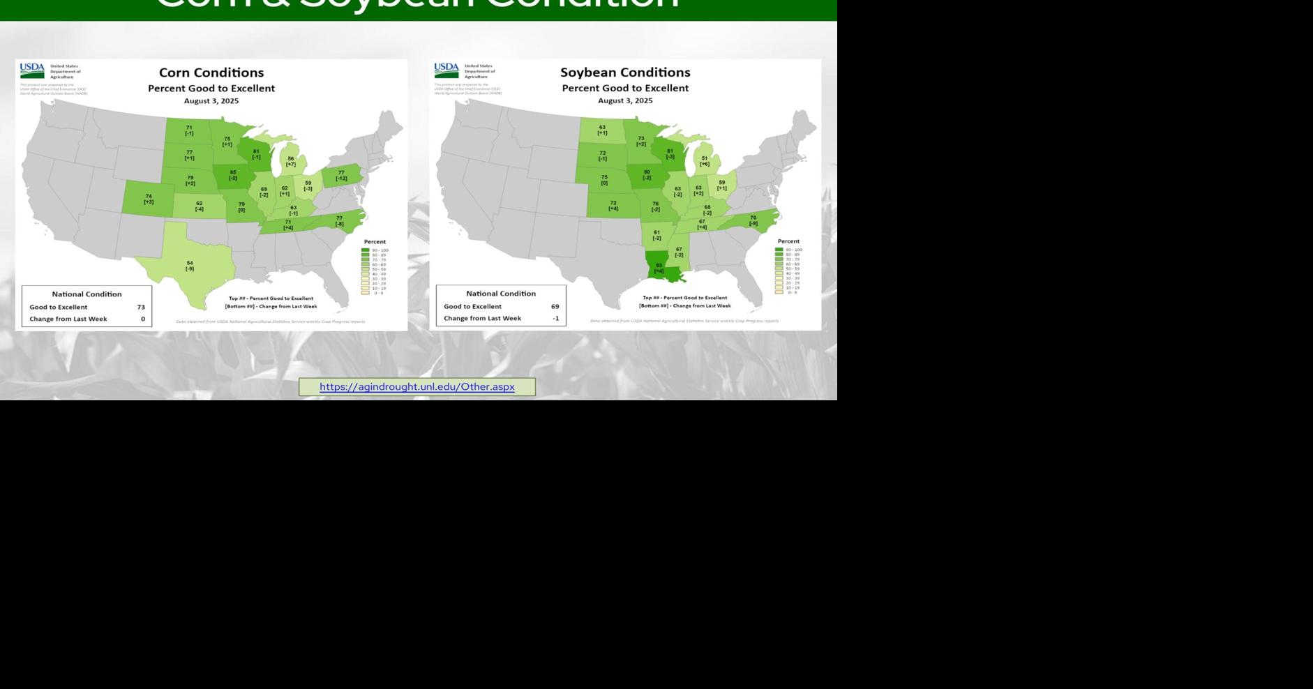 Corn, soybean condition