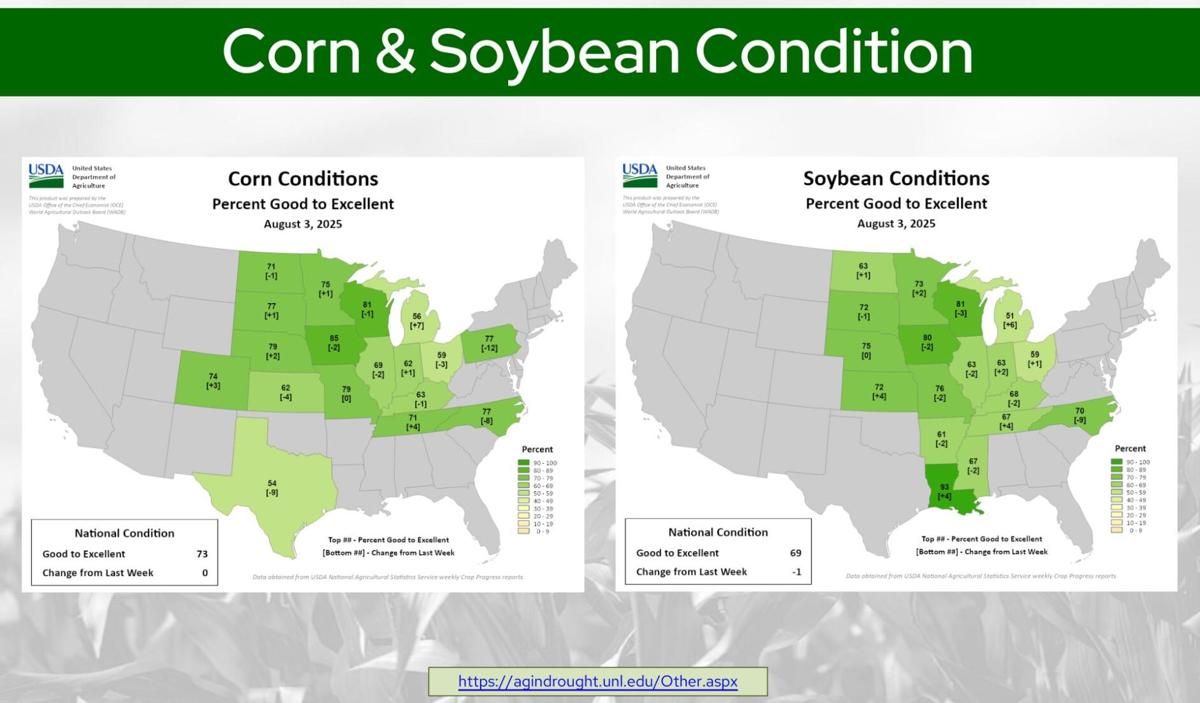Corn, soybean condition
