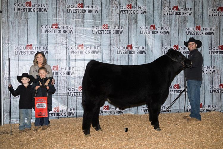 Purebred-Show---Champion-AOB-Bull.jpg