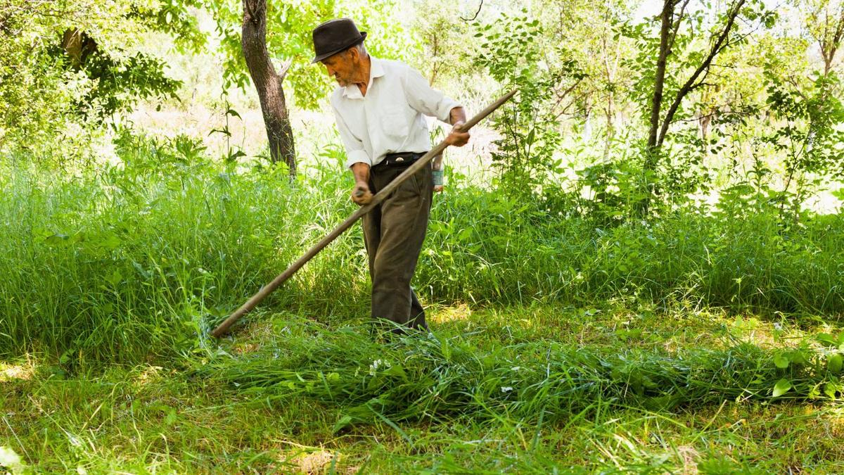 Innovation expected to accelerate in farming/society