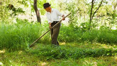 Innovation expected to accelerate in farming/society