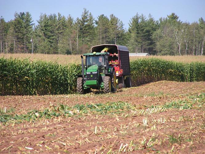 Combine in field
