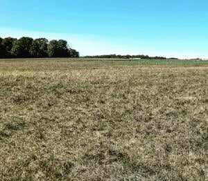 Manage small-acreage pasture drought