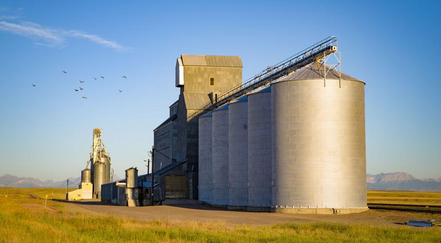 Grain bins