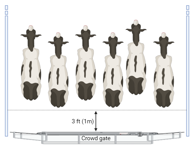 Crowd gate figure