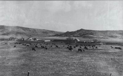 Hot Springs Herd Rural Life Agupdate Com