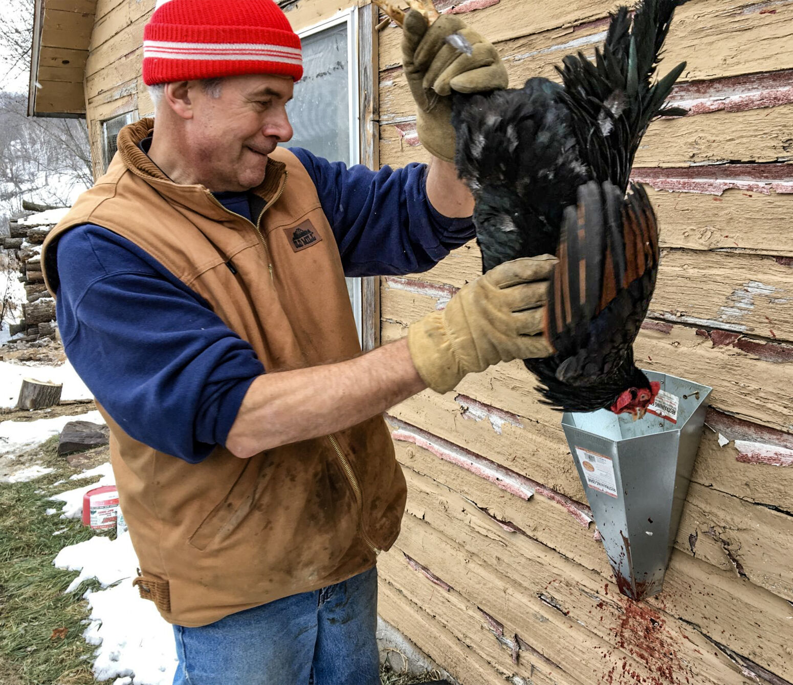 Chris Hardie with chicken