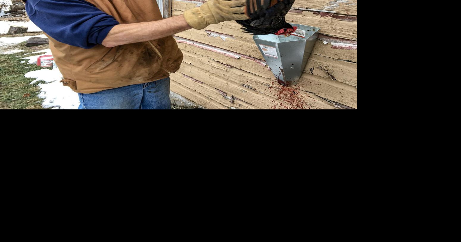 Chris Hardie with chicken