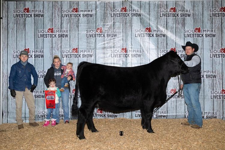 Purebred-Show---Champion-AOB-Heifer.jpg