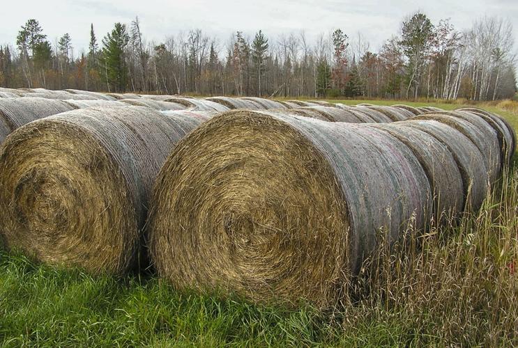 Hay bales