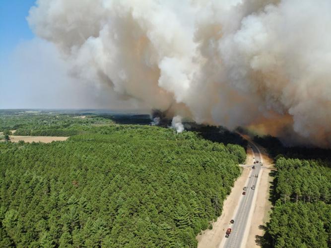 Wildfire