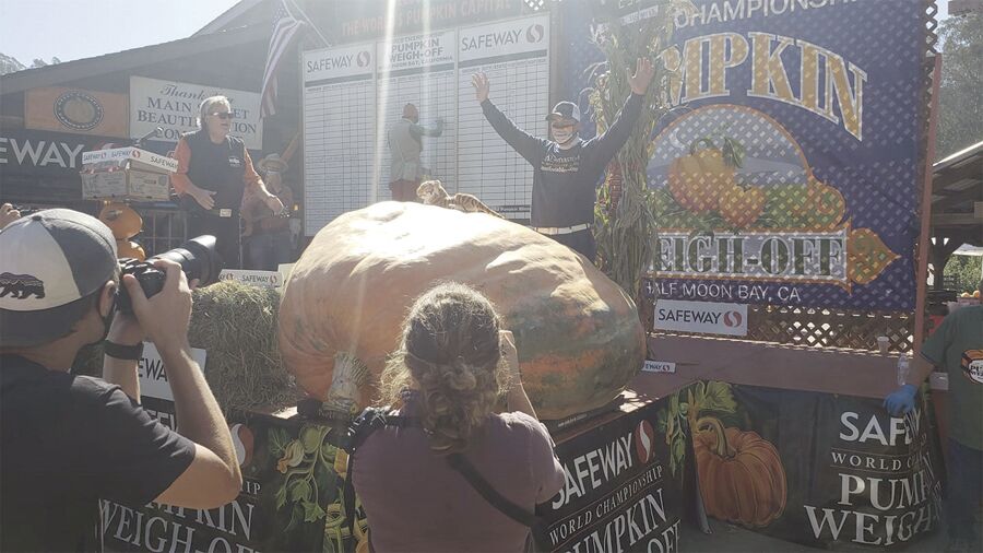 2,350 lb 'Tiger King' pumpkin carved for Anoka Halloween parade