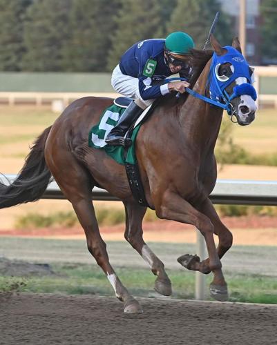 5 photo courtesy coady photography(4).JPG