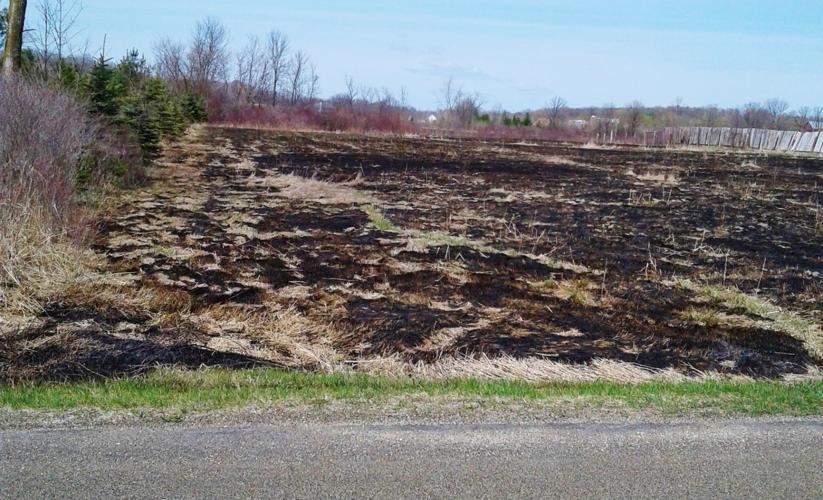 Hay field is burned
