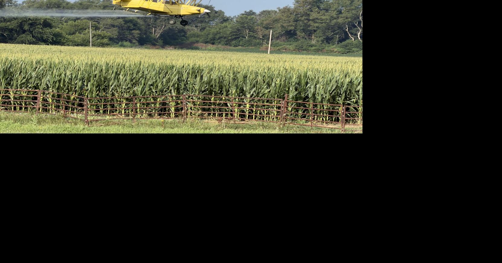 Down on the Farm 4.JPG
