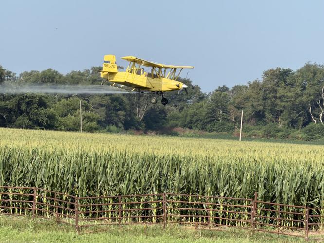 Down on the Farm 4.JPG