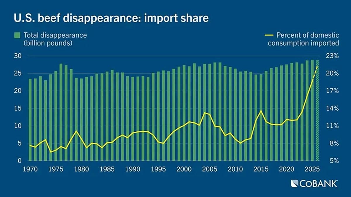 Disappearance