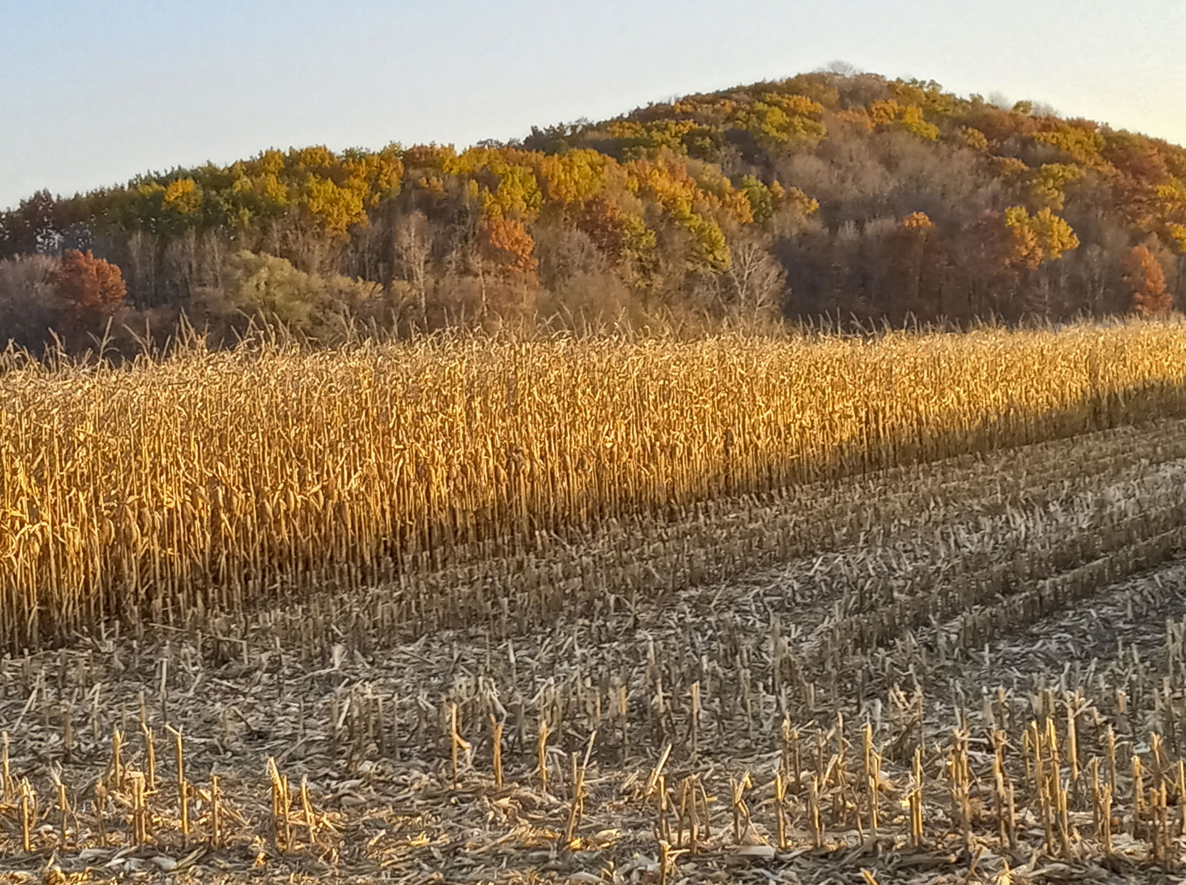 harvest app twitter harvest app twitter