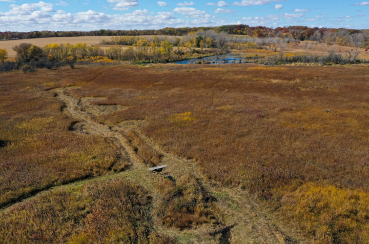 Aerial view of green brown field